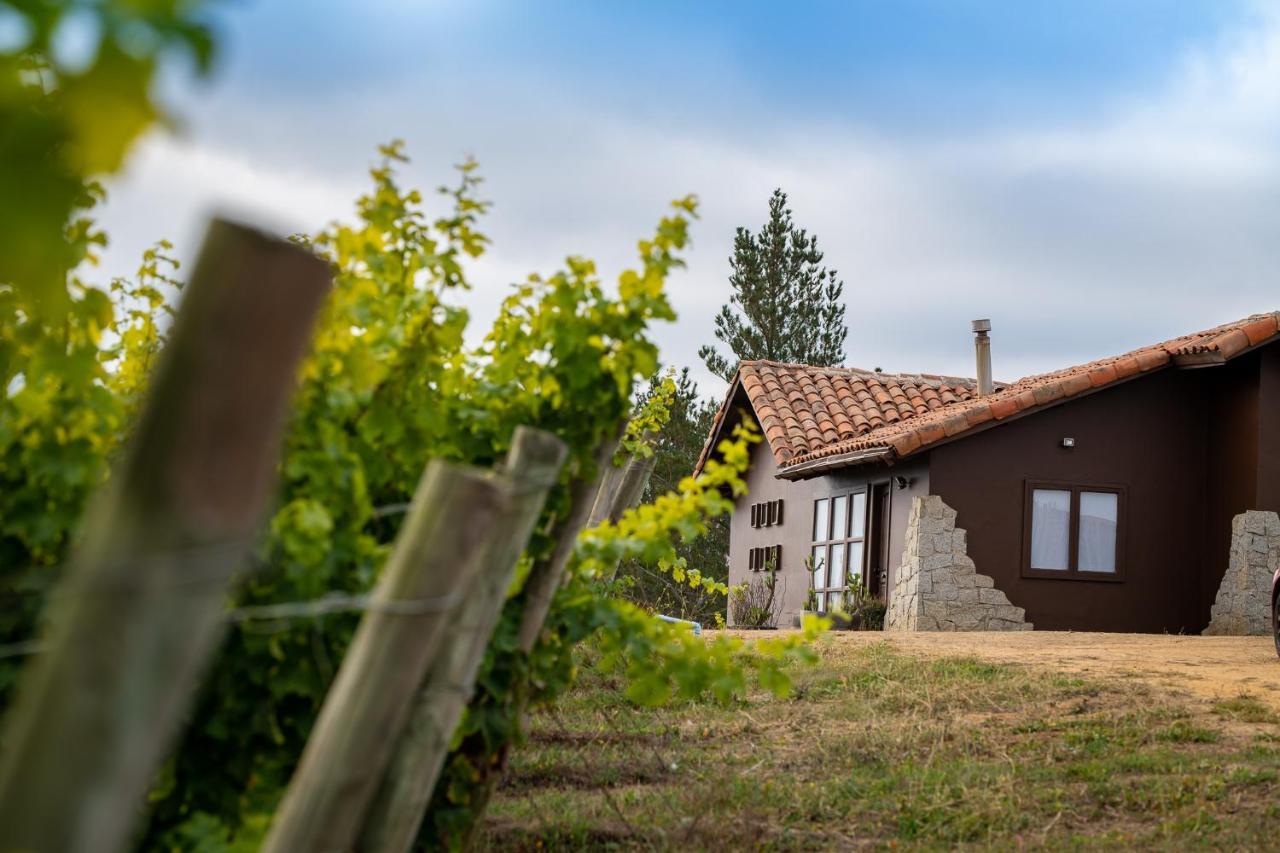 Bed and Breakfast Bungalow Miramar & Jeronimo At Casa Marin Vineyards Картахена Экстерьер фото